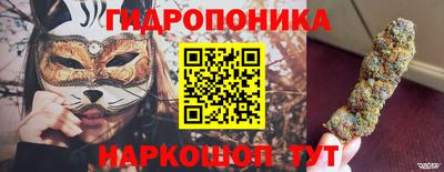 jwh Ярославль