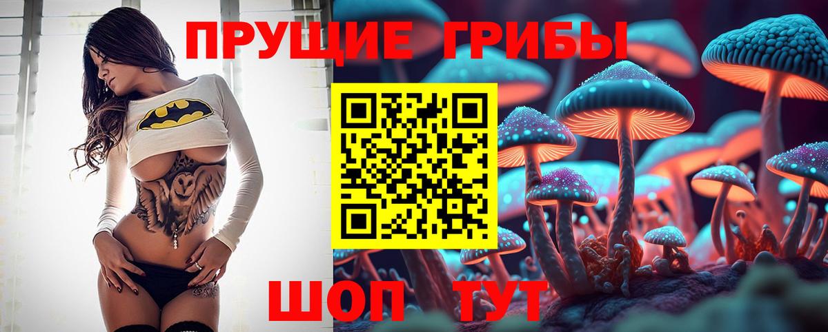 Вятские Поляны  Галлюциногенные грибы MAGIC MUSHROOMS  где найти наркотики  Вход с VPN  Псилоцибиновые грибы Cubensis 