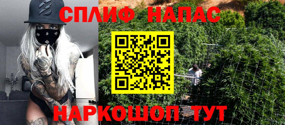 Каннабис SATIVA & INDICA Вятские Поляны